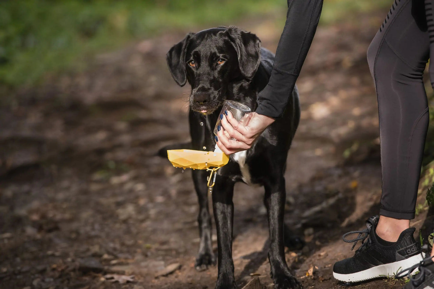 Pet Water Bottle Anti Spier