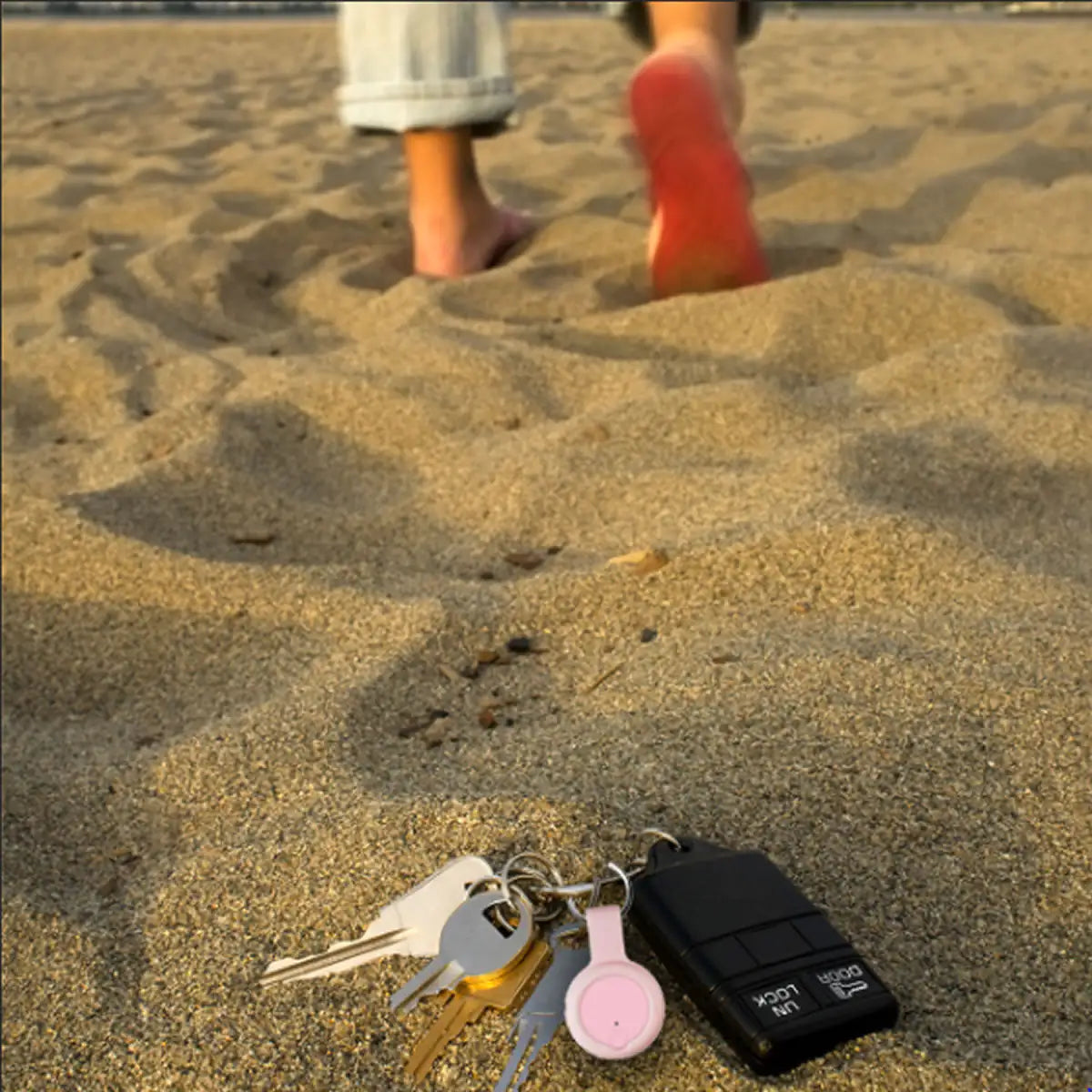 Anti Lost Device 2/Pack Anti Spier