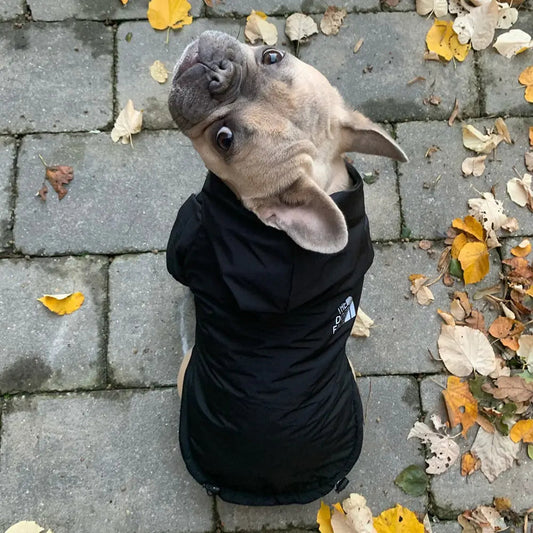 Reflective Pet Hooded Jacket Anti Spier