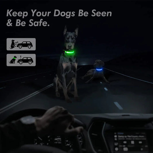 LED Adjustable Dog Collar Blinking Flashing Light Up Glow Pets Safety Waterproof Anti Spier