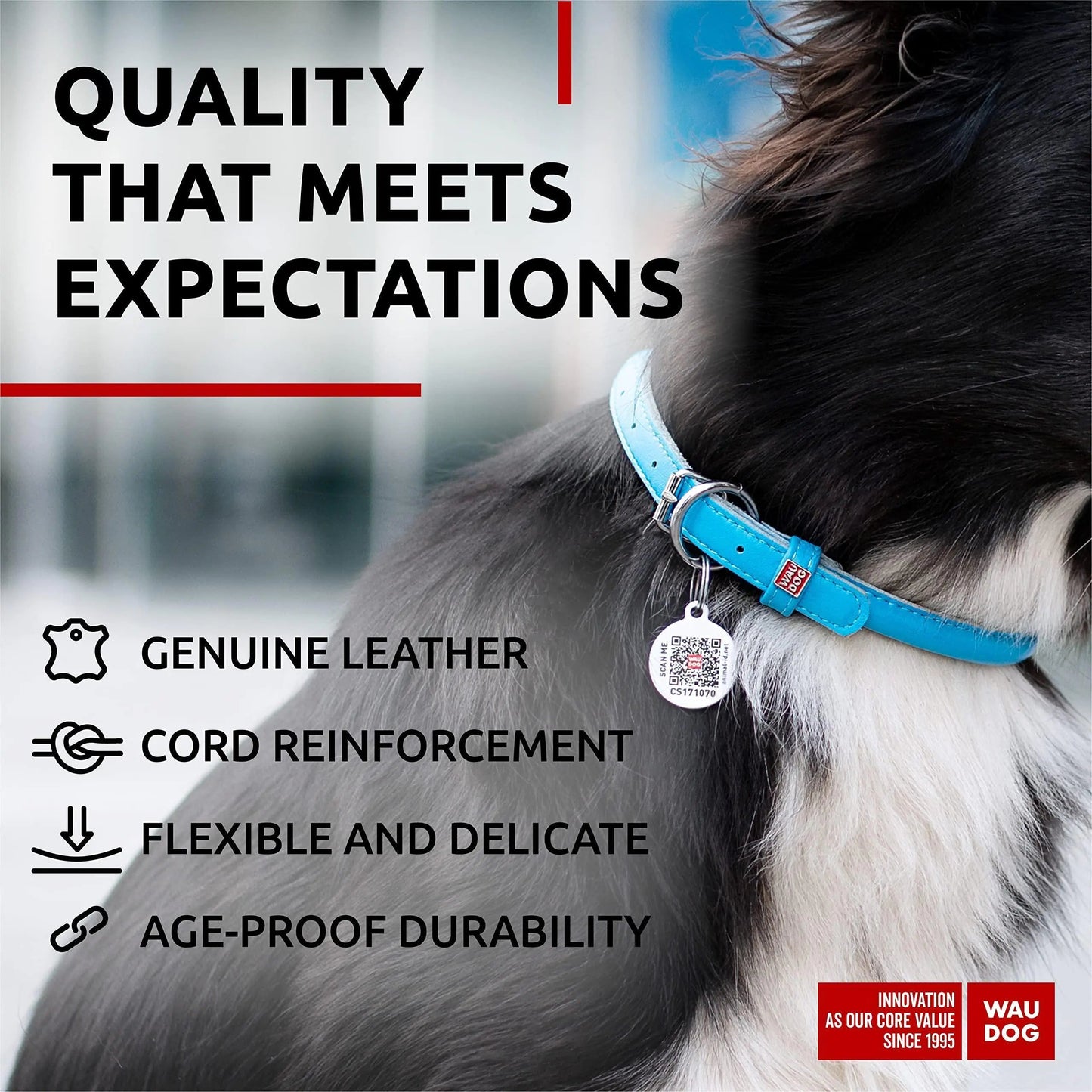 Ultra Soft Rolled Leather Dog Collar for Small Dogs Soft Padded Dog Collars Anti Spier