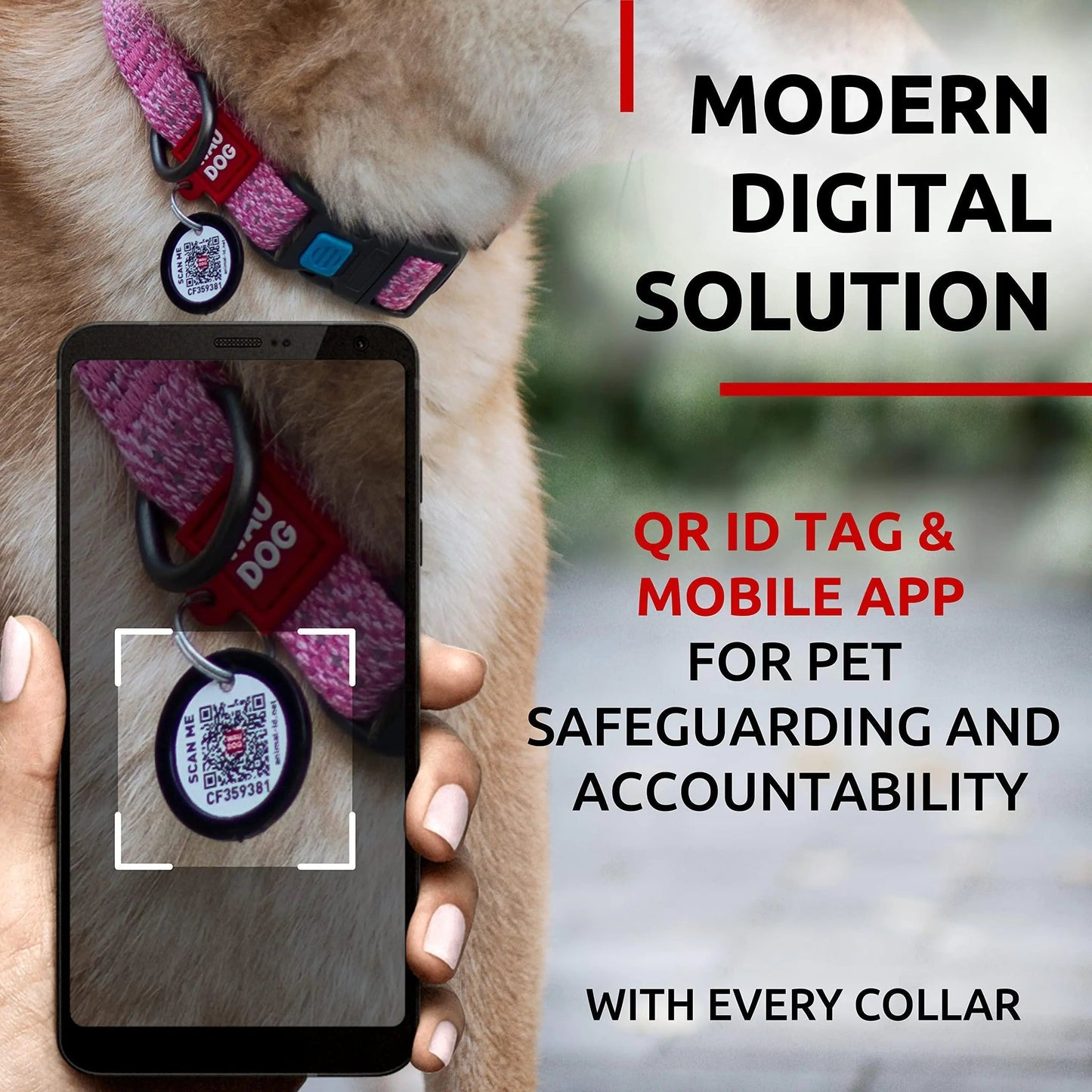 Reflective Cotton Dog Collar Eco Friendly Alt to Nylon Collar 10 16 in Neck x Anti Spier