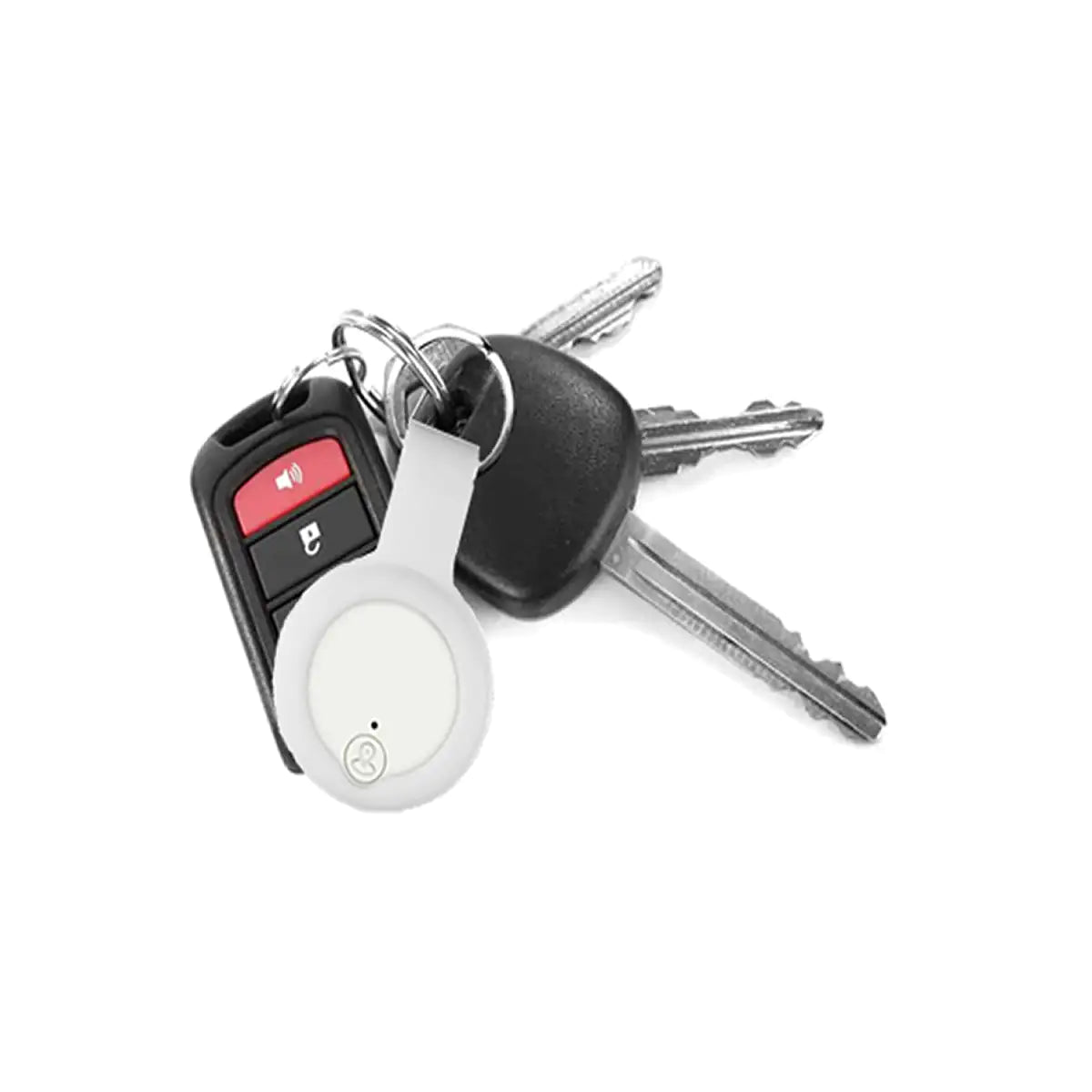 Anti Lost Device 2/Pack Anti Spier
