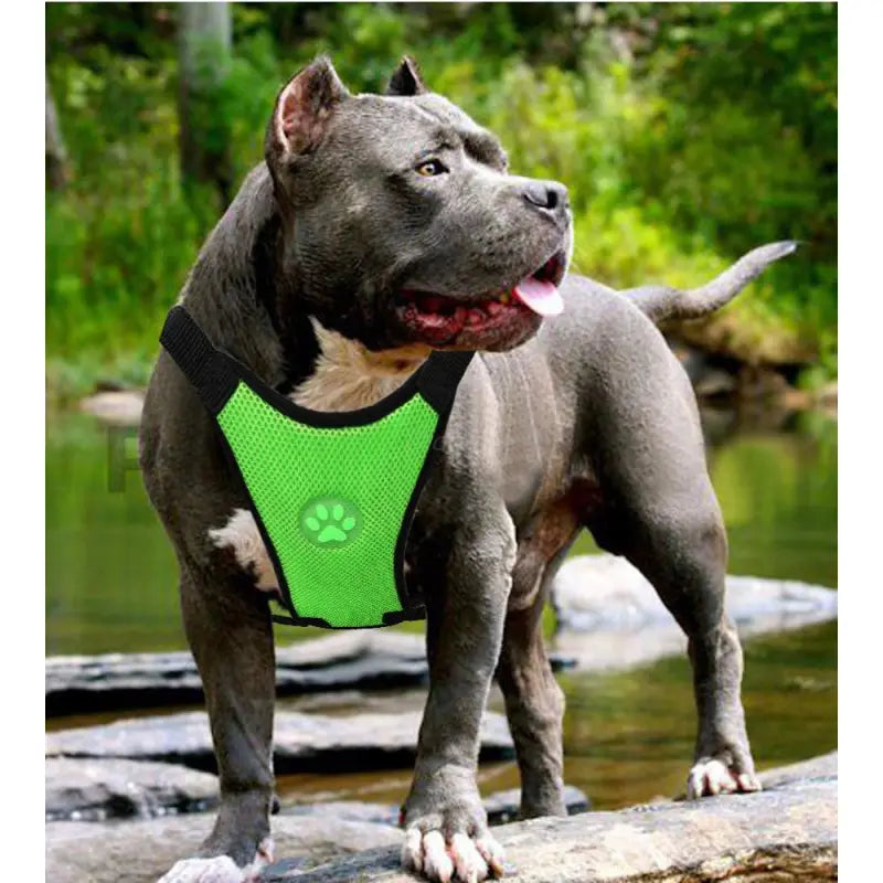 Dog supplies Breathable mesh chest straps Pet car safety chest back Anti Spier
