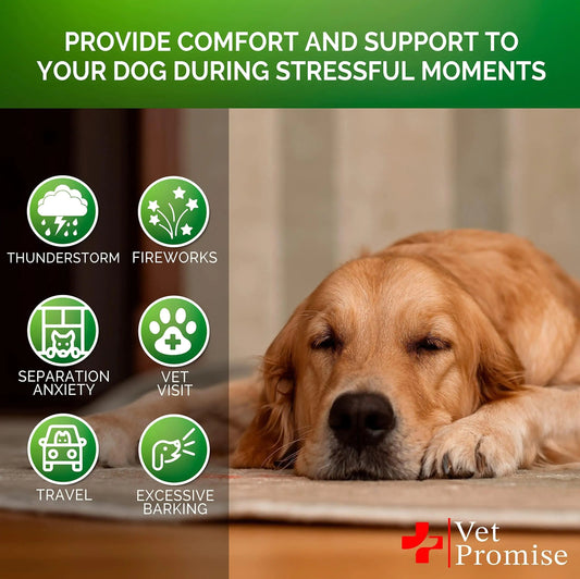 Hemp Calming Chews for Dogs Anxiety and Stress Dog Natural Calming 120 Treats Anti Spier