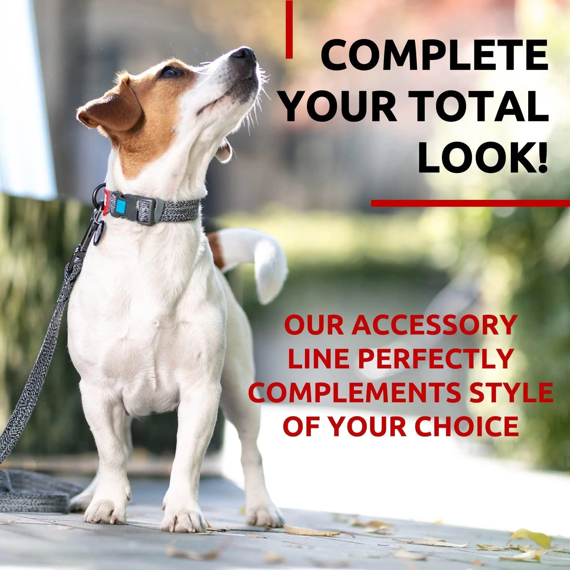 Recycled Cotton Dog Leash 3/5 inch x 6 Ft Eco Friendly for Small Medium Large Anti Spier