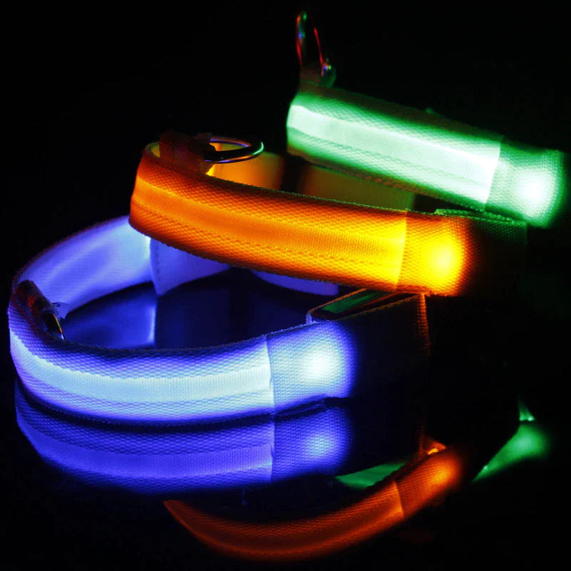 LED Adjustable Dog Collar Blinking Flashing Light Up Glow Pets Safety Waterproof Anti Spier