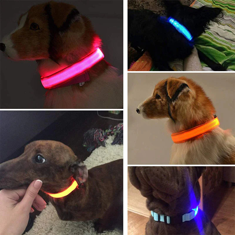 LED Adjustable Dog Collar Blinking Flashing Light Up Glow Pets Safety Waterproof Anti Spier