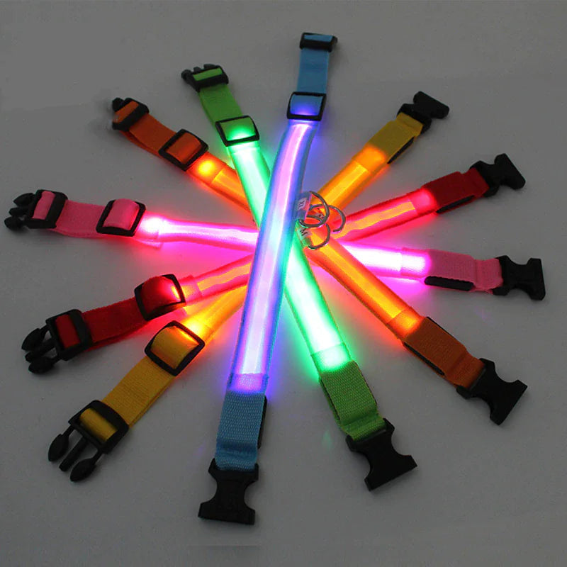 LED Adjustable Dog Collar Blinking Flashing Light Up Glow Pets Safety Waterproof Anti Spier