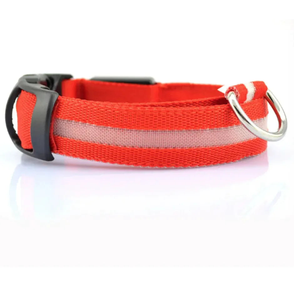LED Safety Dog Collar