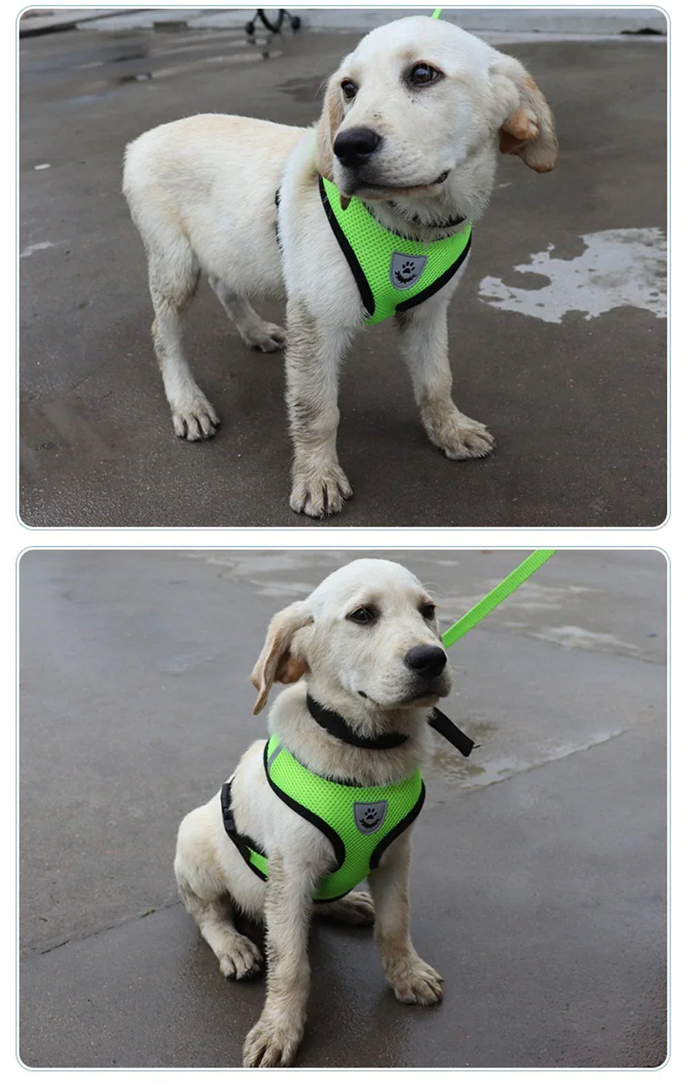 Cat Dog Pet Harness Adjustable Control Vest Dogs Reflective S M L XL Leash Anti Spier