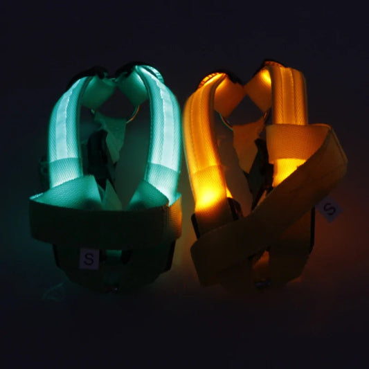 Nylon Pet Safety LED Harness Anti Spier