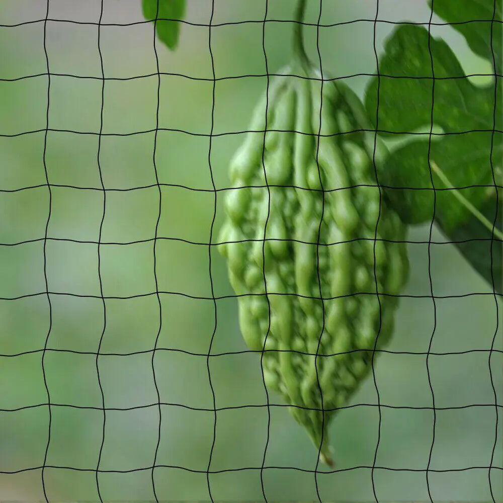 33FT Anti Bird Netting Pond Net Protection Tree Crops Plants Fruits Garden Mesh Anti Spier