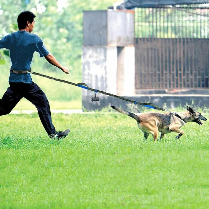Reflective Rope Pet Leashes Anti Spier