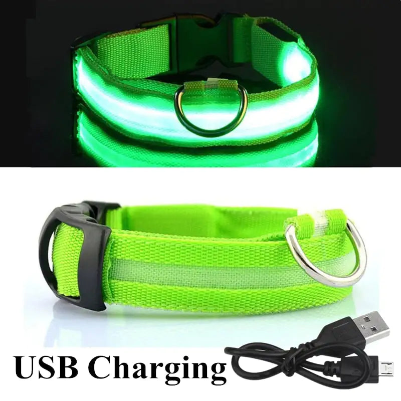Safety And Visibility For Night Walks Anti Spier