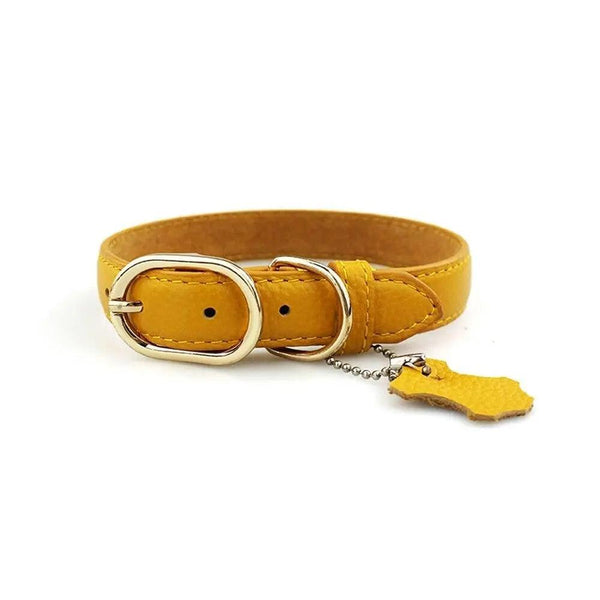 Leather Dog Neck Collar