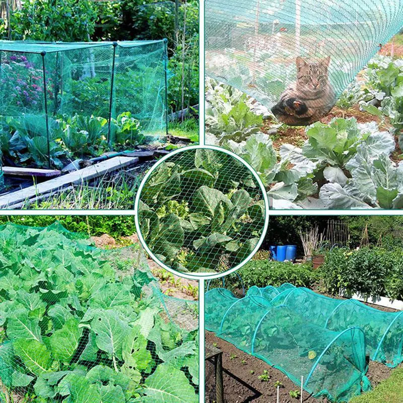 33FT Anti Bird Netting Pond Net Protection Tree Crops Plants Fruits Garden Mesh Anti Spier
