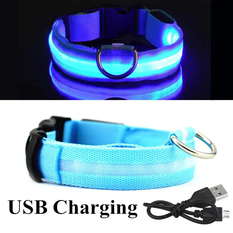 Safety And Visibility For Night Walks Anti Spier