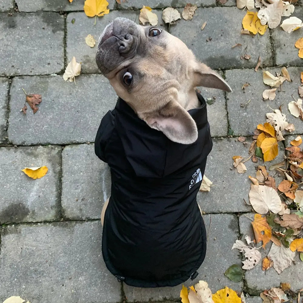 Reflective Pet Hooded Jacket Anti Spier