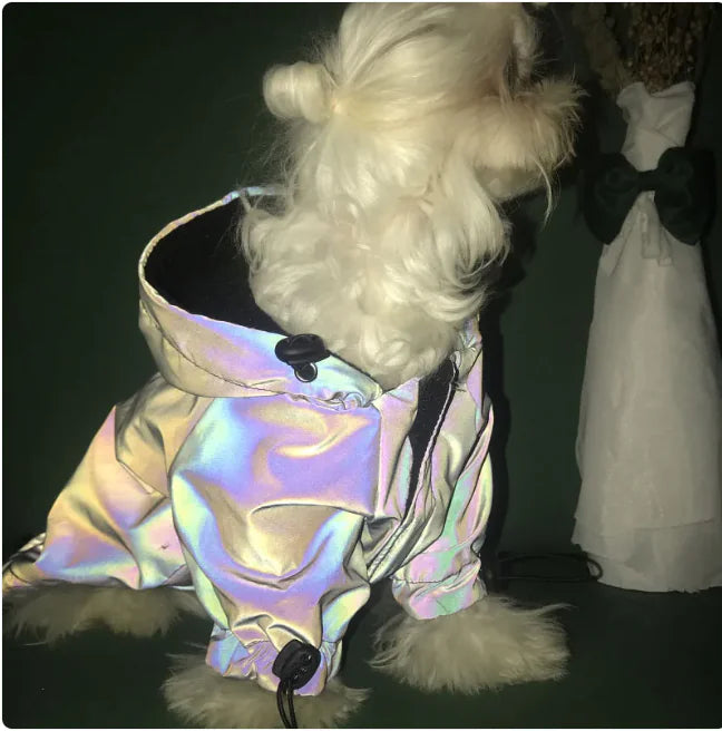 Reflective Windbreaker Hoodie for Dogs – Stylish Pet Coat Anti Spier
