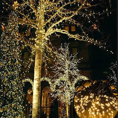 Firefly Solar mini LED Christmas lights on String Anti Spier