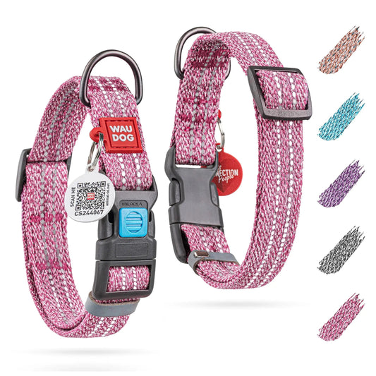 Reflective Cotton Dog Collar Eco Friendly Alt to Nylon Collar 10  16 in Neck x Anti Spier