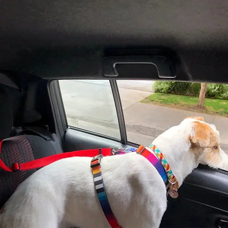 Pet Car Seat Belt & Harness Safety And Style Anti Spier
