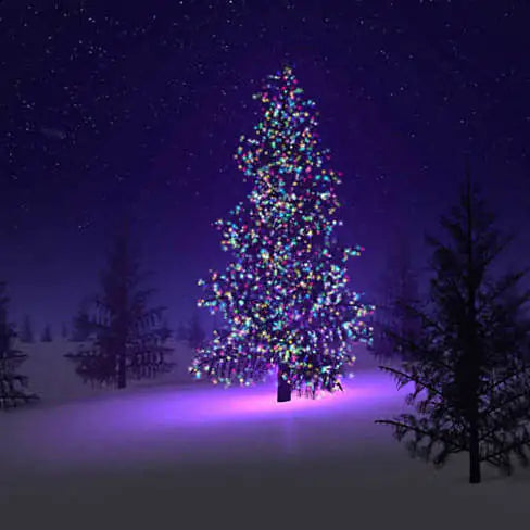 Colorful Firefly - Solar mini LED Christmas lights on Strings Anti Spier