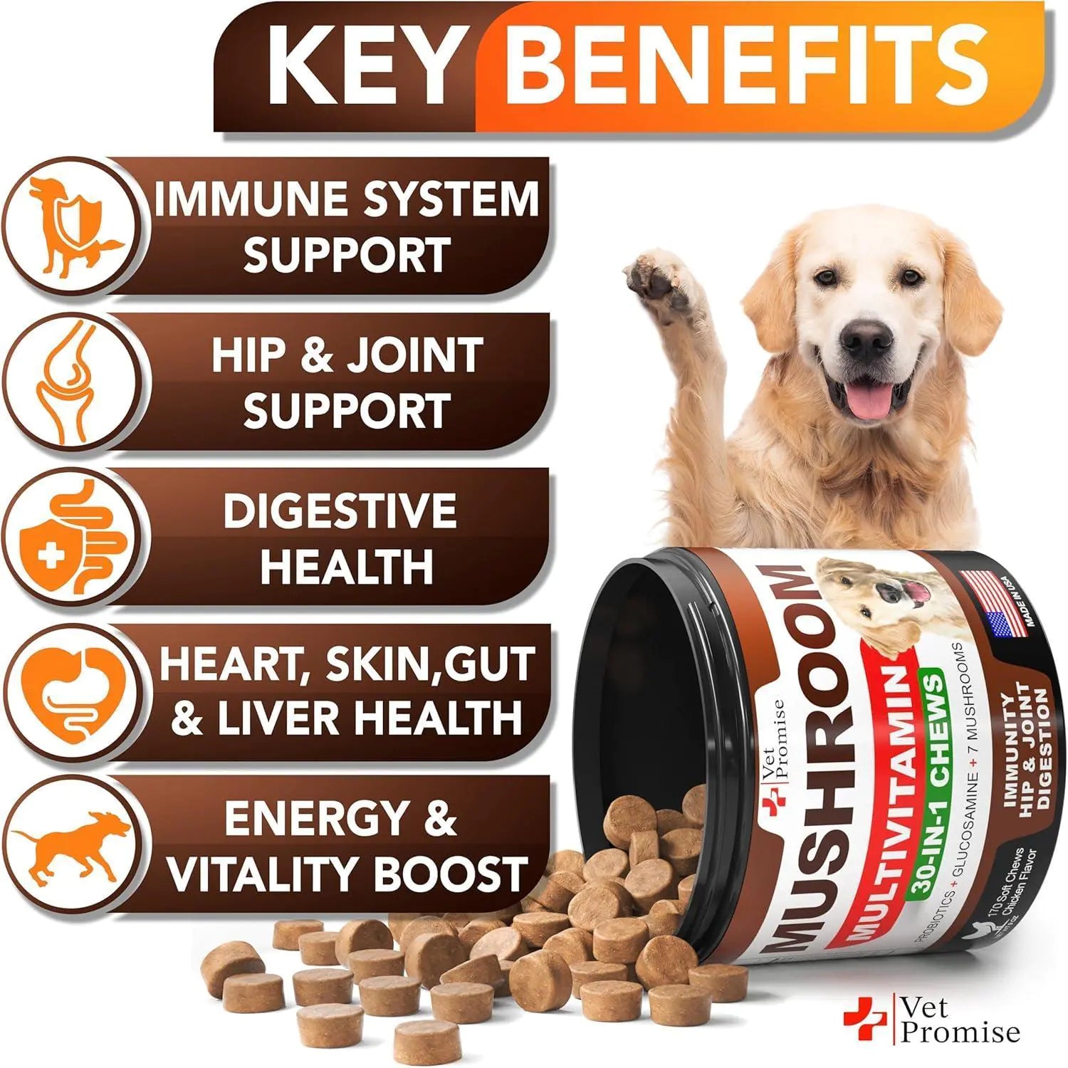 Mushroom for Dogs 170 Chews Turkey Tail Mushroom for Dogs Lions Mane Reishi Anti Spier