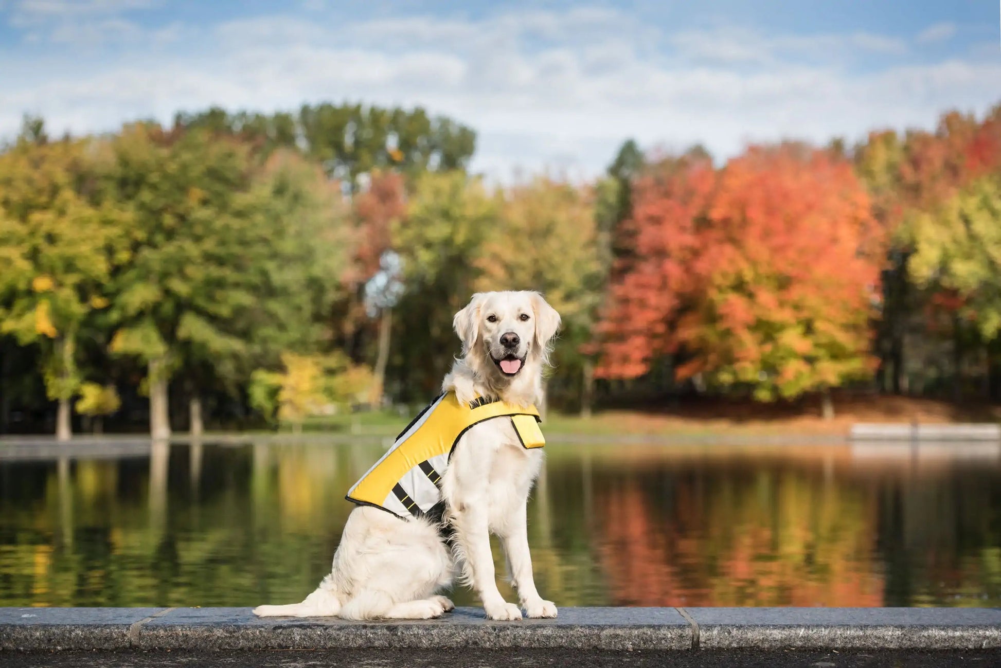 Dog Life Vest Jacket Anti Spier
