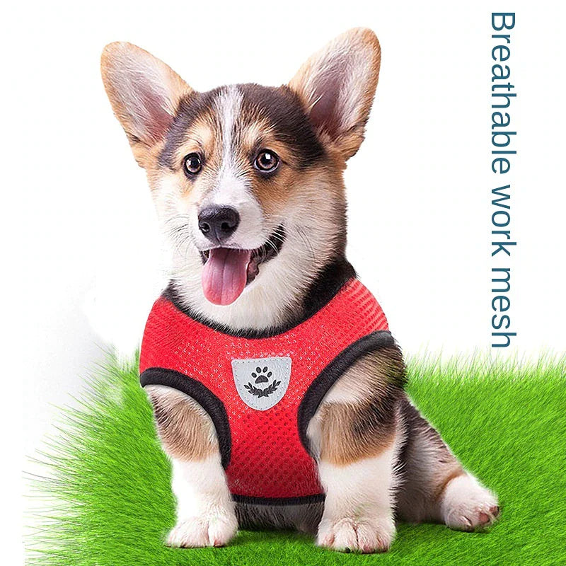Cat Dog Pet Harness Adjustable Control Vest Dogs Reflective S M L XL Leash Anti Spier