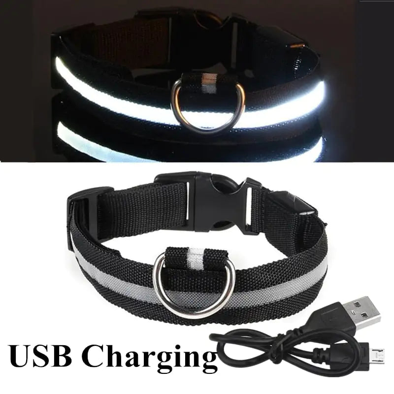 Safety And Visibility For Night Walks Anti Spier