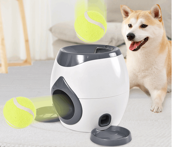 Smart Pet Feeder - Wins Wow