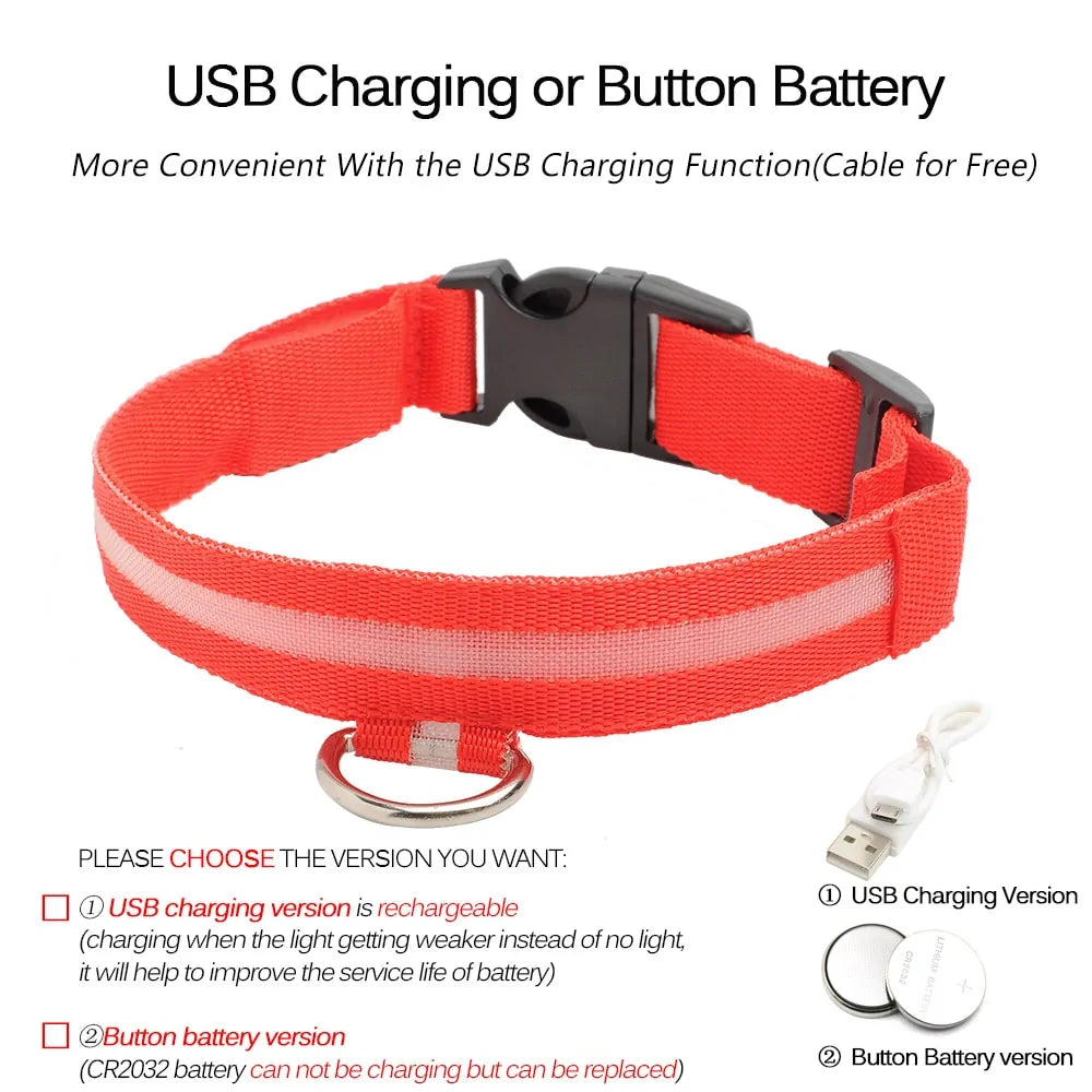 Led Dog Collar Anti-Lost Collar Anti Spier