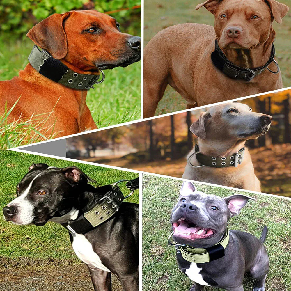 2" Wide Tactical Heavy Duty Nylon Large Dog Collar K9 Military With Metal Buckle Anti Spier