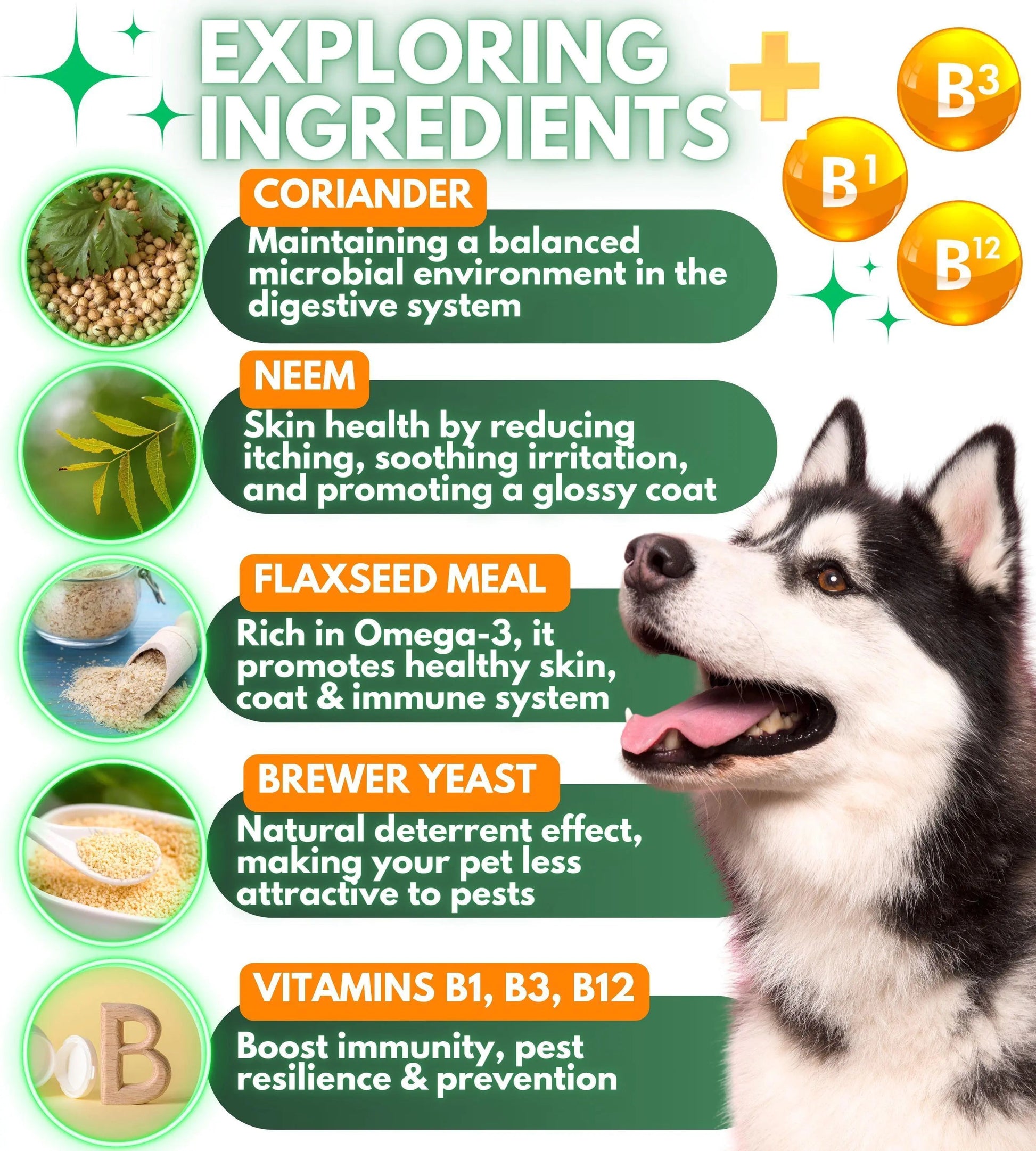 Parasites Prevention for Dogs Chewables Natural Dog Insects Control 120 Tablets Anti Spier