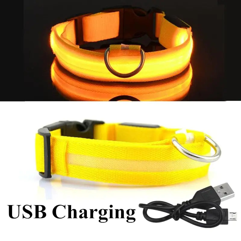 Safety And Visibility For Night Walks Anti Spier